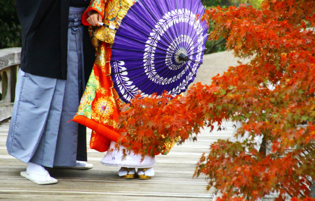 和装と紅葉