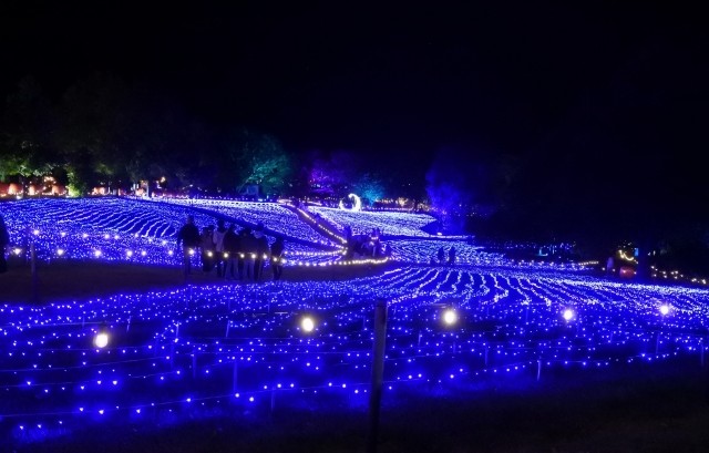 ライトアップイベント「星あかり」中のやくらいガーデン
