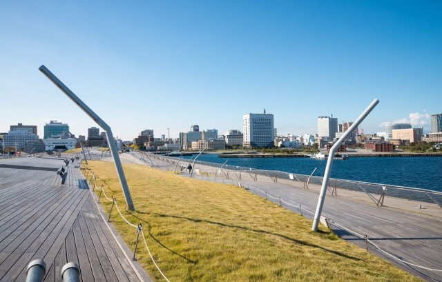 横浜港大さん橋の屋上広場「くじらのせなか」