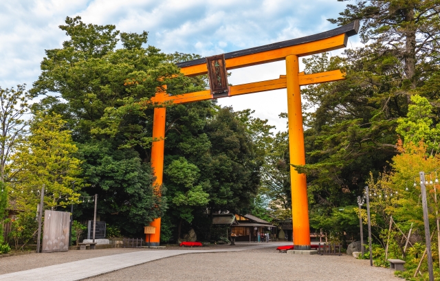 川越氷川神社の大鳥居