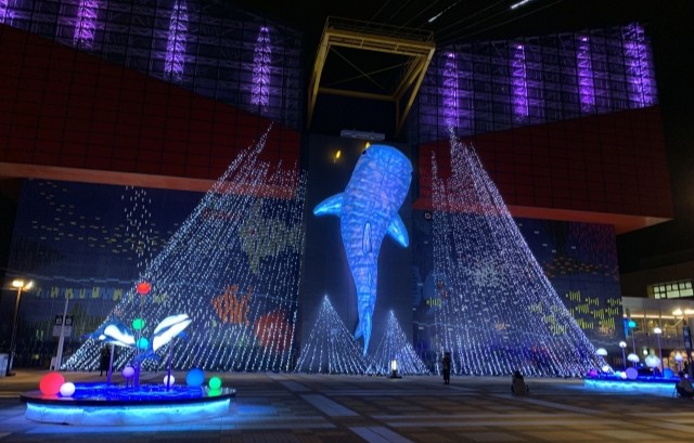 海遊館イルミネーションで照らされたジンベイザメのオブジェ