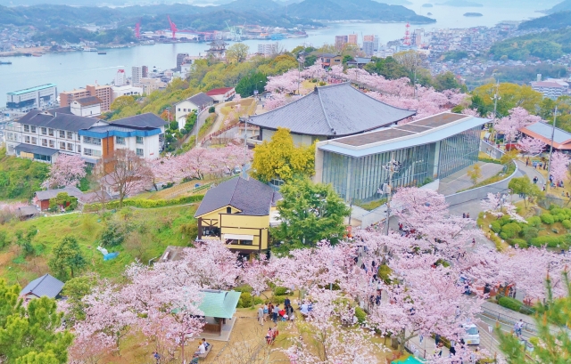 桜咲く千光寺公園からの眺望