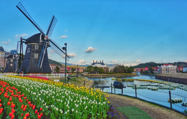 ハウステンボスの風車とチューリップ畑
