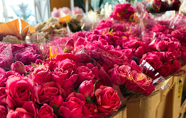 花屋の薔薇