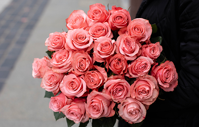 ピンクの薔薇