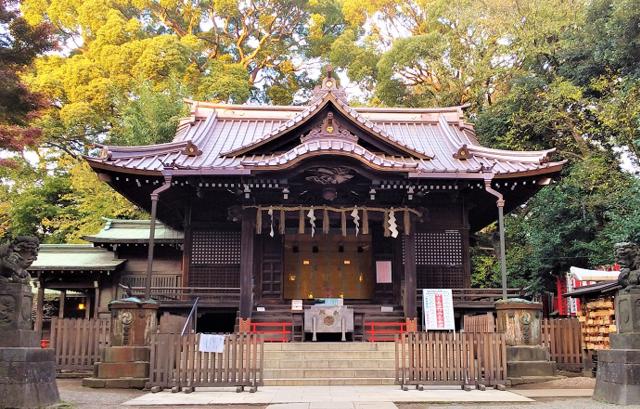代々木八幡宮 神殿