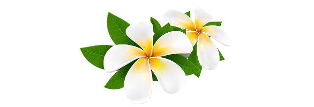 プルメリア