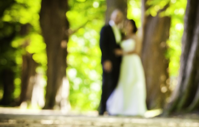 ピンボケの写真