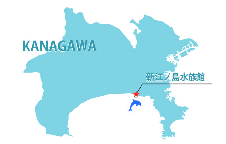 【神奈川】新江ノ島水族館