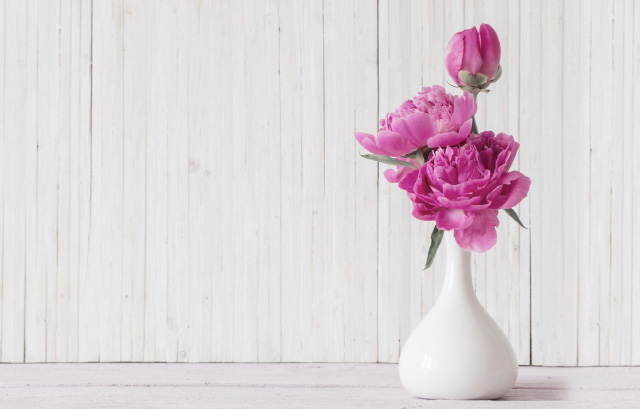 白い花瓶に飾られたピンクの芍薬