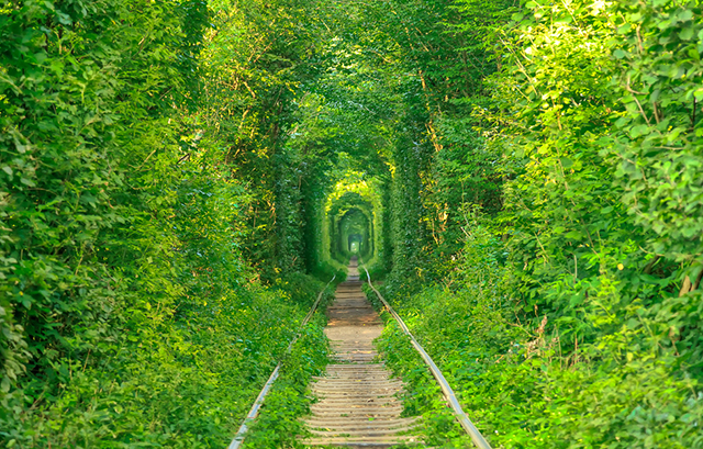 ウクライナの愛のトンネル_緑