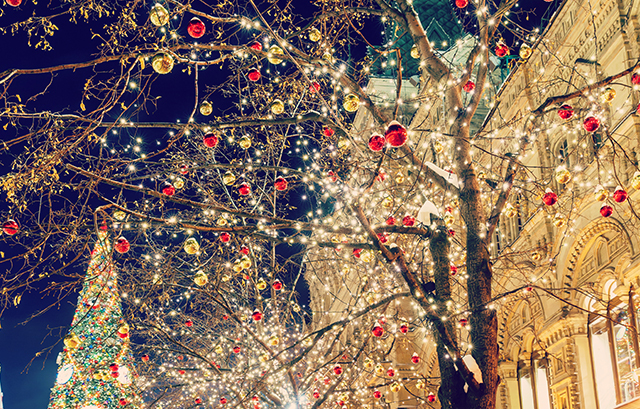 クリスマス仕様の街路樹