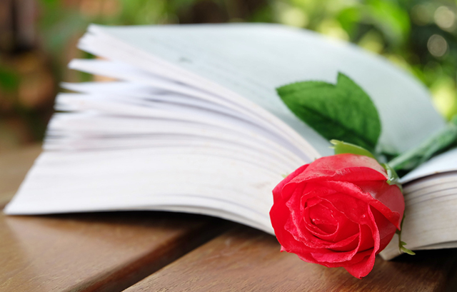 本のページの間に置かれた一輪のバラの花