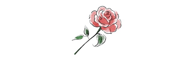 バラの花