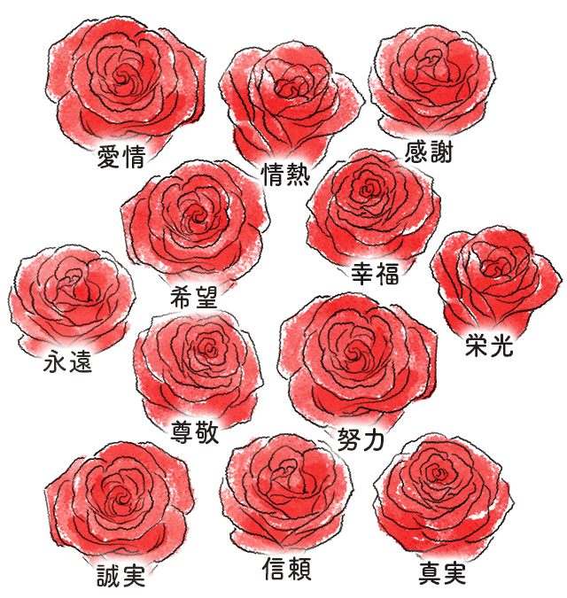 薔薇の意味