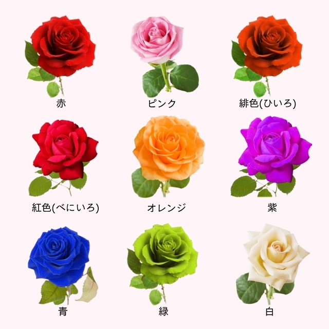 さまざまな色のバラ