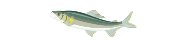 魚
