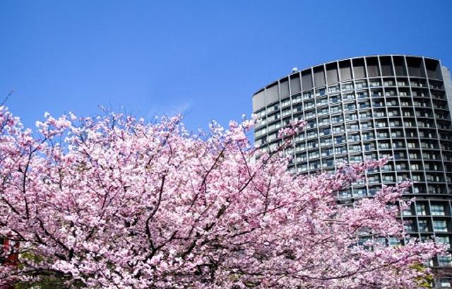 ホテル グランドアーク半蔵門　ロケーション