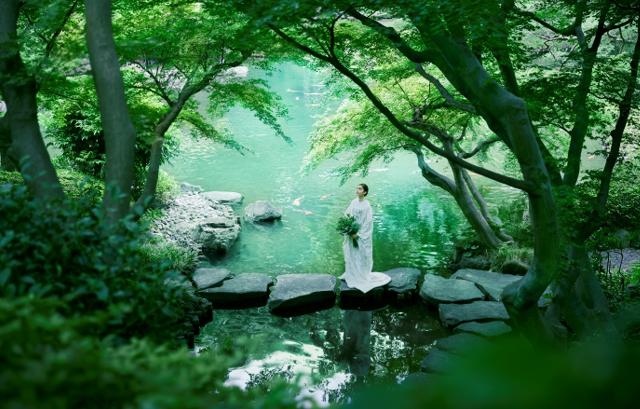 八芳園　日本庭園内の池