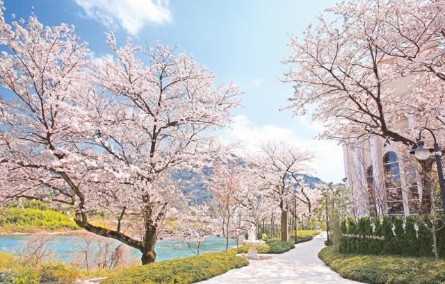 迎賓館 サクラヒルズ川上別荘　庭園
