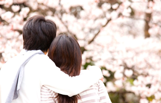 桜を眺めながら寄り添うカップル