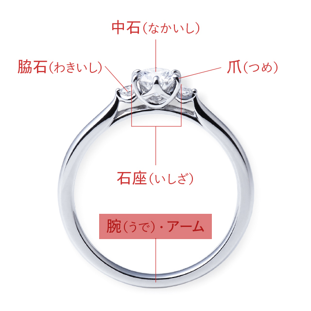 婚約指輪を横から見たときの「腕」の位置