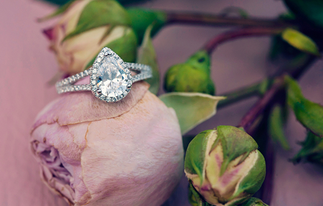 大きなダイヤが施された婚約指輪とくすみピンクのローズ
