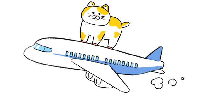 飛行機の上に乗るネコ