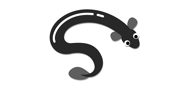 ウナギ