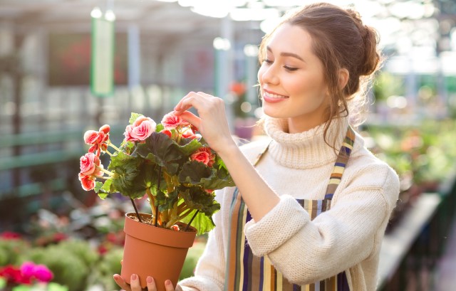 鉢植えの花を愛でる女性