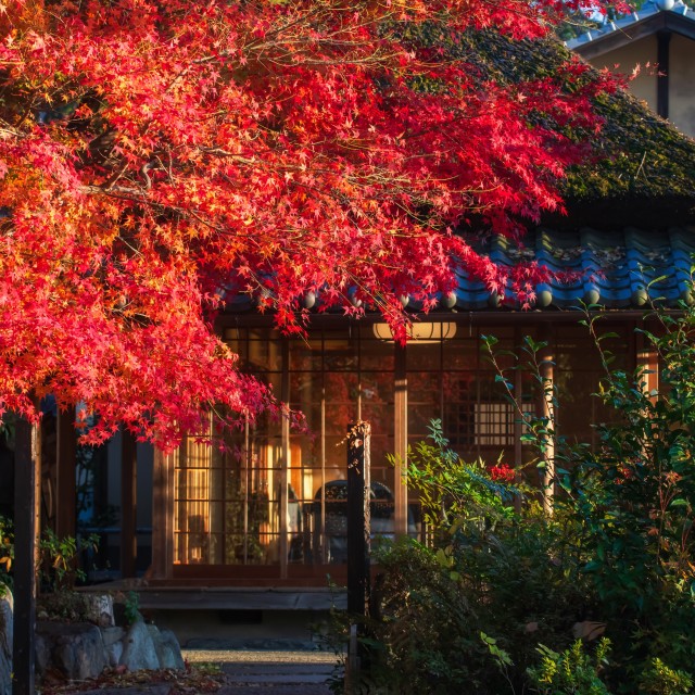 【顔合わせのお店】先輩カップルはどうした？立地や料理の好印象な選び方を体験談つきで解説