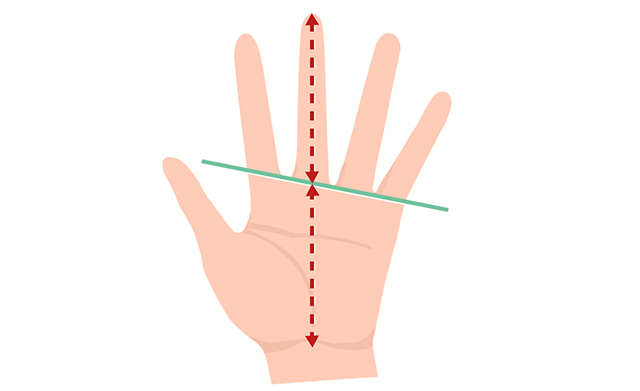 手のひらの長さと指の長さの比較