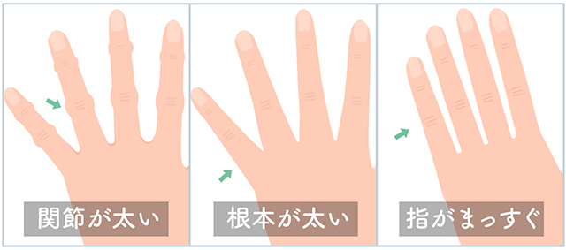 指の形の比較