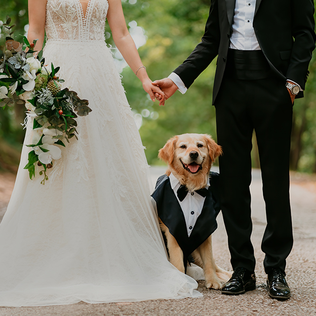 犬と新郎新婦