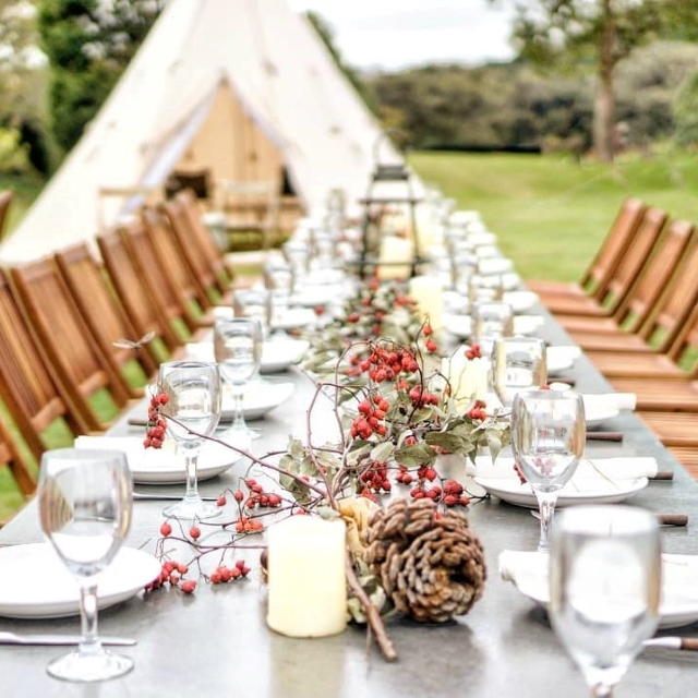 松ぼっくりや赤い木の実が並んで置かれているテーブル