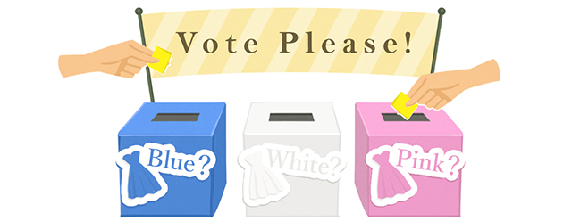 青、白、ピンクの投票箱にゲストが投票をしている様子