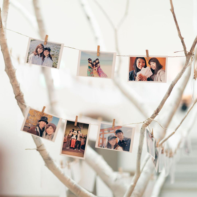 新郎新婦の写真を吊り下げたウェディングツリー