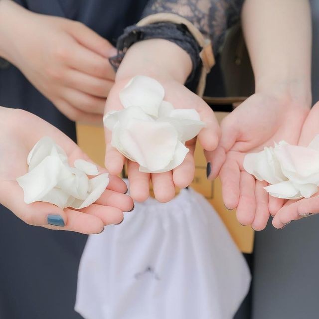 複数の花びらを手のひらに乗せている様子