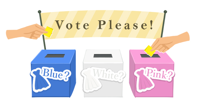 青、白、ピンクの投票箱にゲストが投票をしている様子