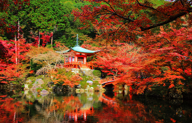 紅葉が美しく映える日本庭園