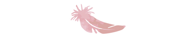 ピンクの羽根