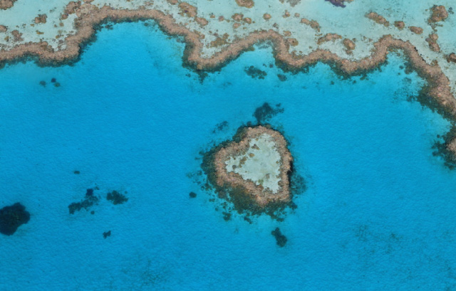 ハミルトン島のハート形のサンゴ礁