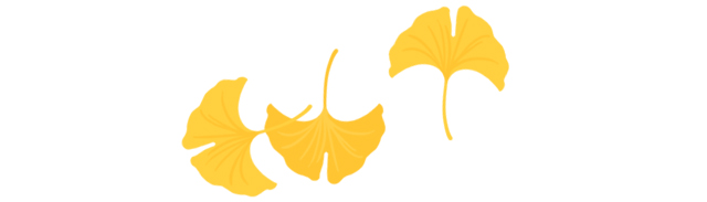 イチョウの葉っぱ