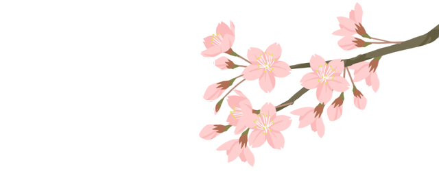 桜の花が咲いた枝