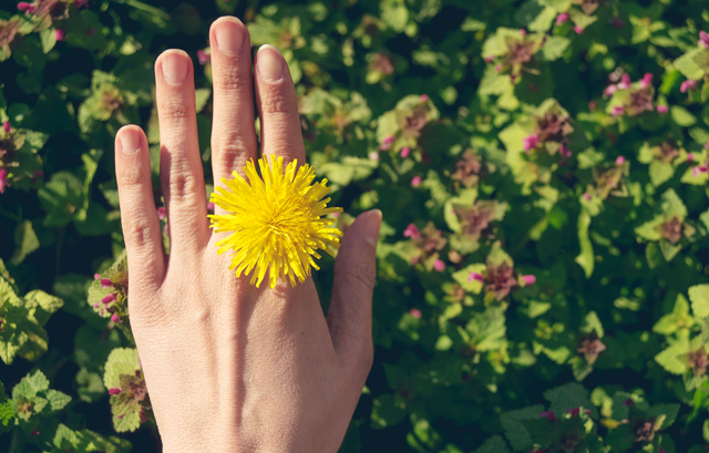 黄色い花のフラワーリングをつけた手