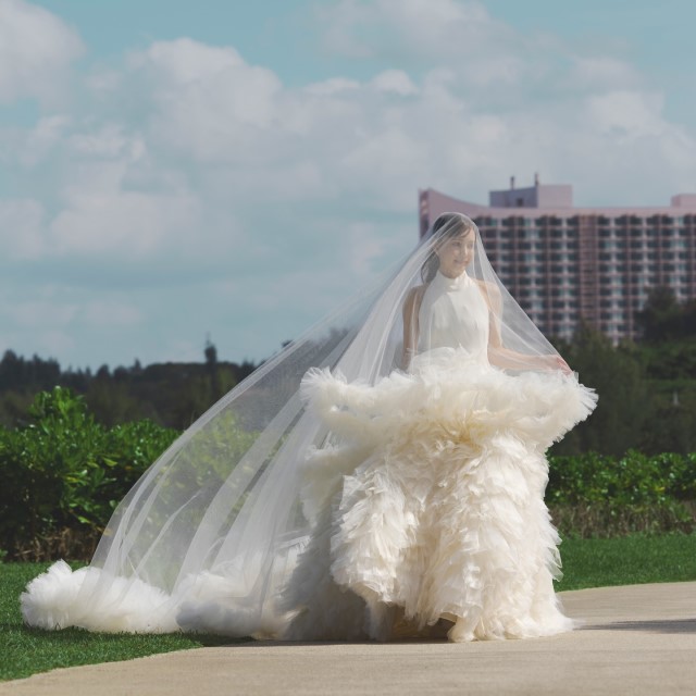 もこもこベールをつけたドレス姿の花嫁