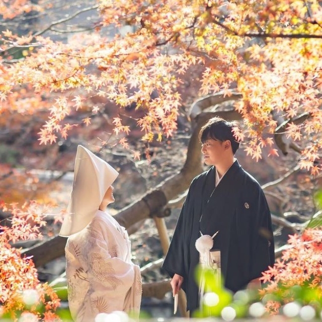 季節ごとの撮影ポイント