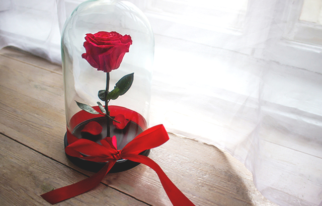 ガラスのドームに飾られた1本の赤いバラ