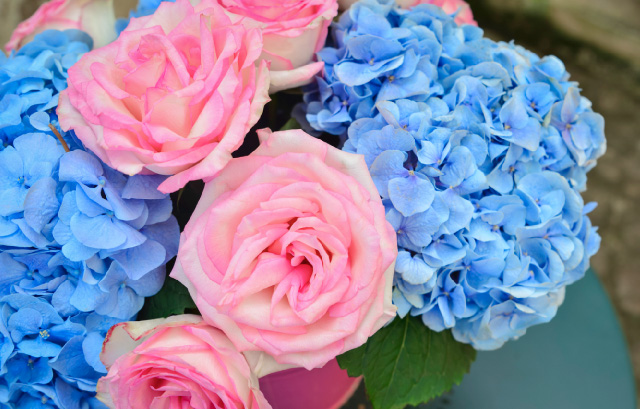 ブルーの紫陽花とピンクのバラを使ったコントラストが美しいブーケ