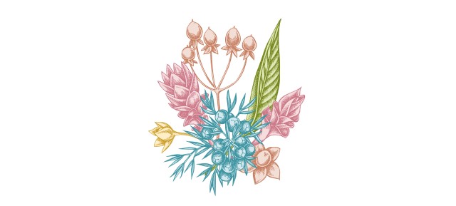 ブーケに使う実もののイラスト